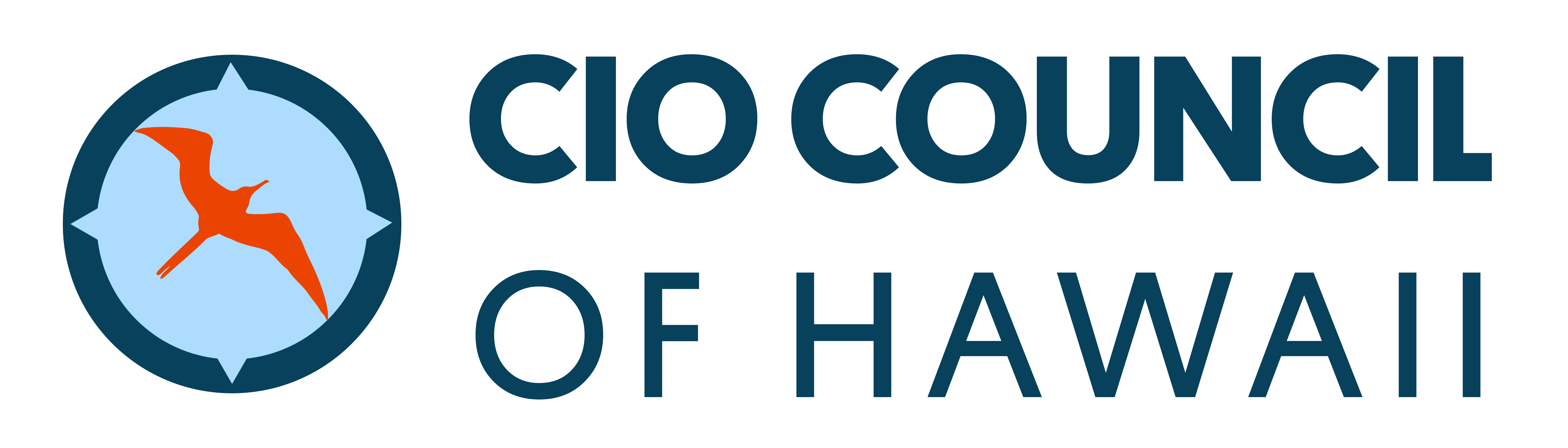 CIO Council