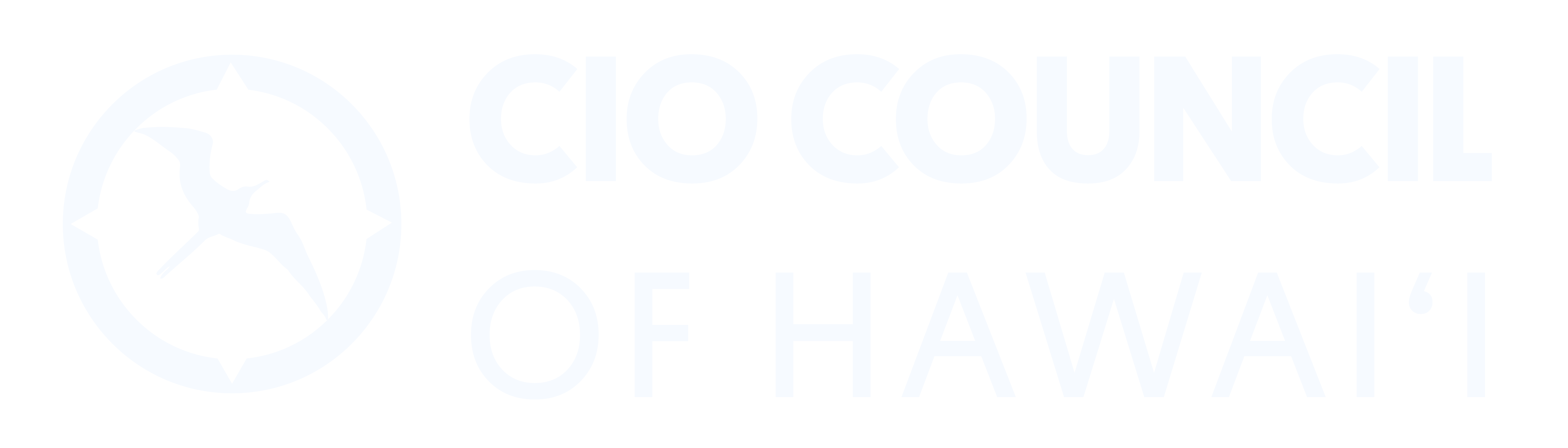 CIO Council